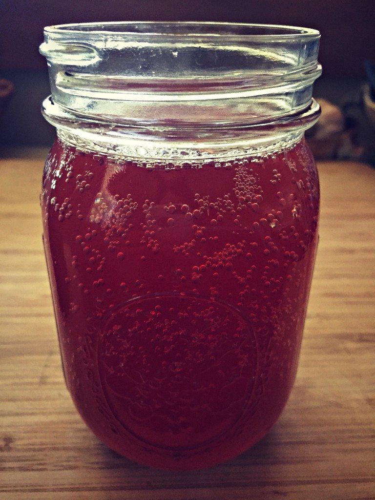 Hibiscus Kombucha