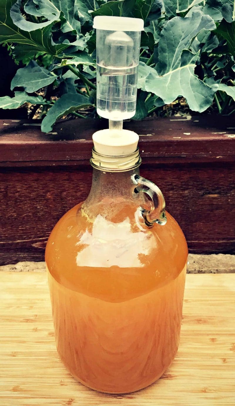 How to Make Hard Apple Cider Jelly