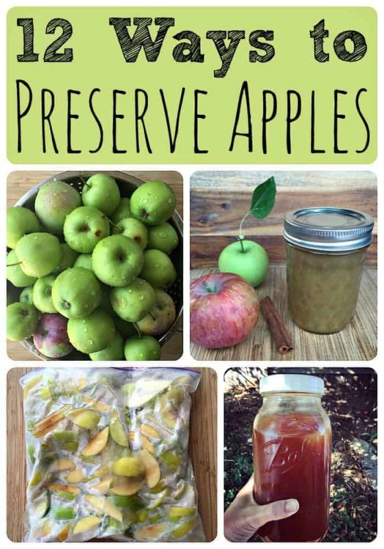 12 Ways to Preserve Apples