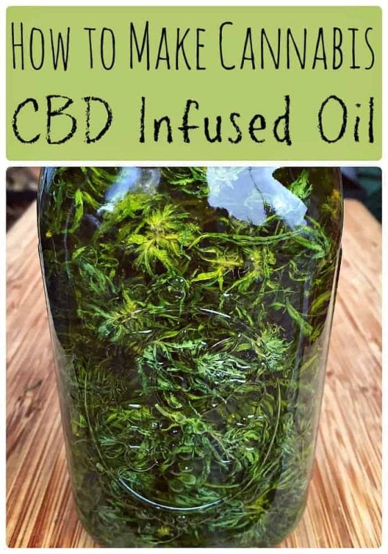 How-to-Make-Cannabis-CBD-Infused-Oil-560x800.jpg