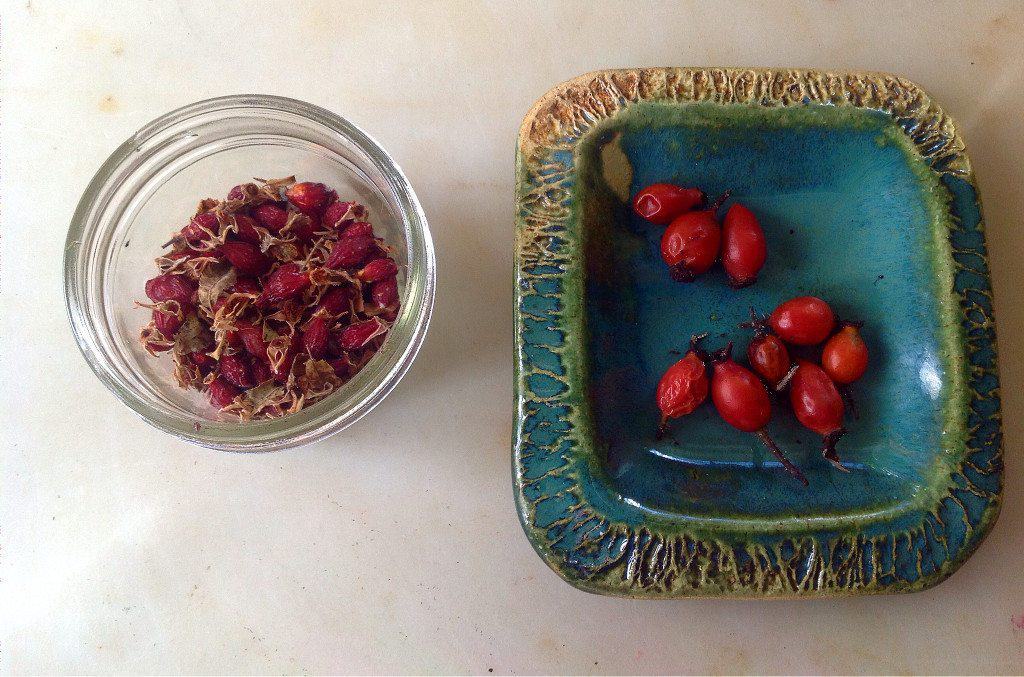 Foraging for Rose Hips