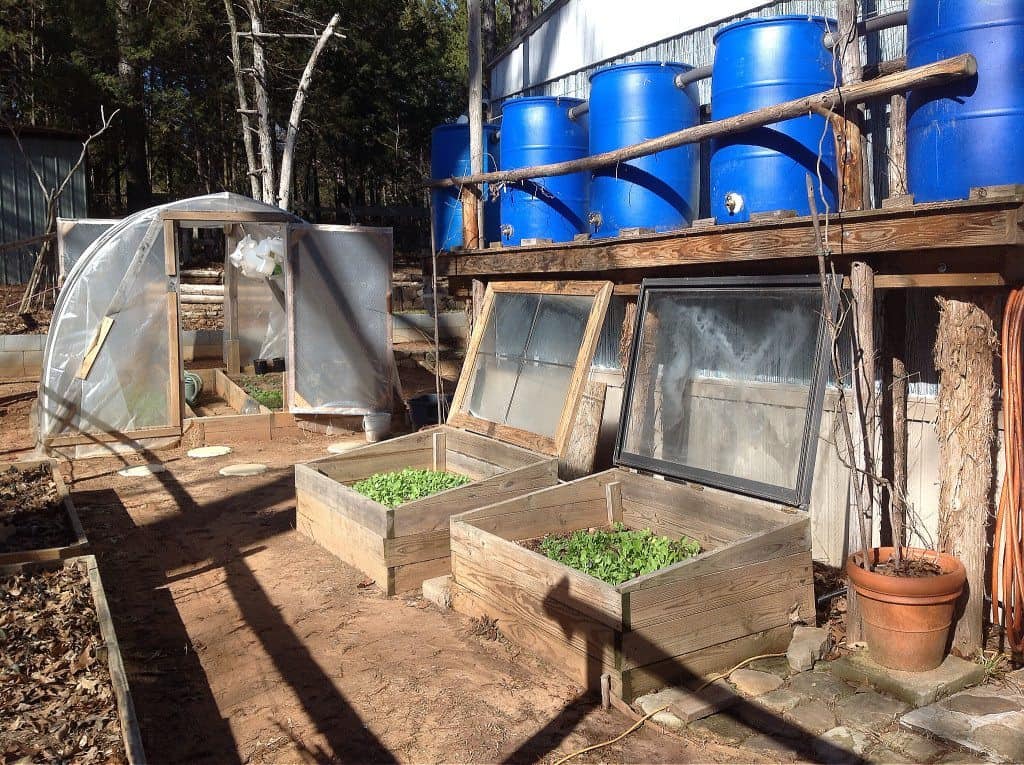 rainwater and greenhouse