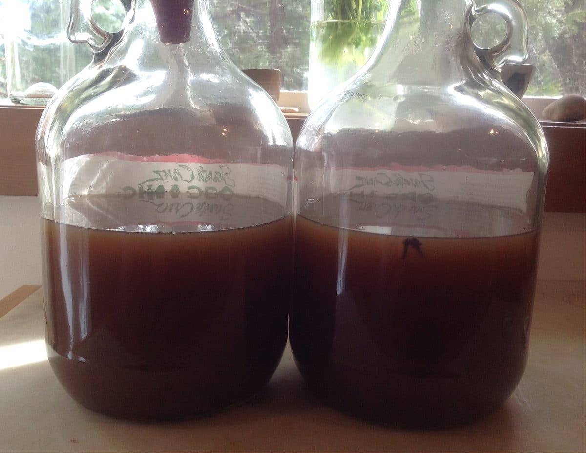 How to Make Hard Cider Part 1 Brew it!