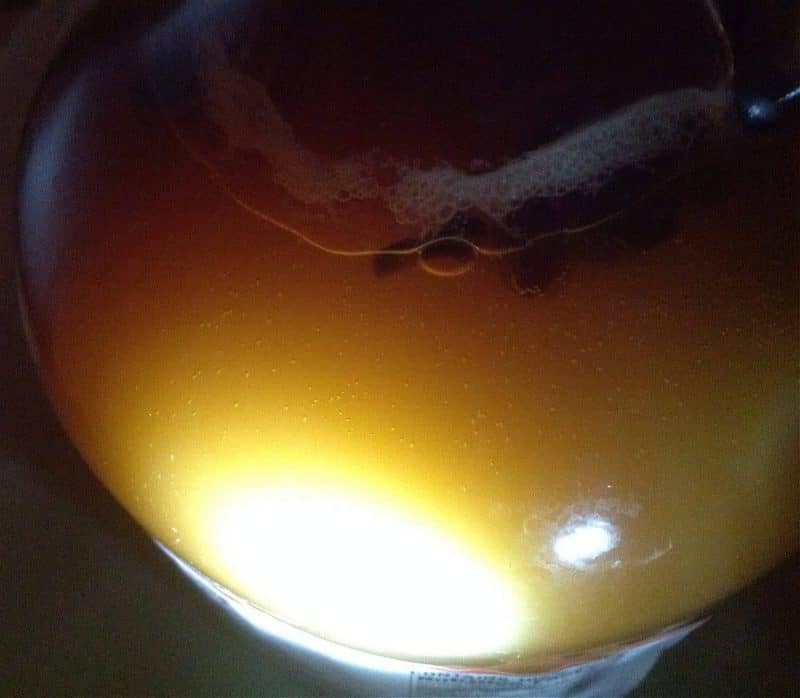 Learn how to brew your own easy and delicious hard cider with this simple recipe! Brewing your own hard cider is easy, affordable, and it tastes amazing. Click through for the step by step tutorial on how to make fermented hard cider at home! #fermented #homebrew hard cider fermenting