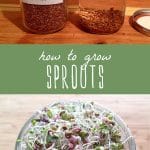 Seeds in a jar for sprouting, and sprouts in jar.