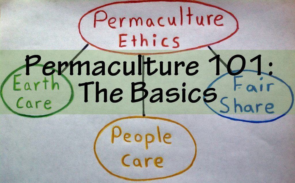 permaculture the basics