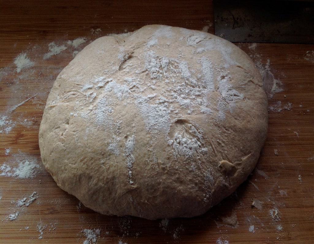 no knead sourdough has risen