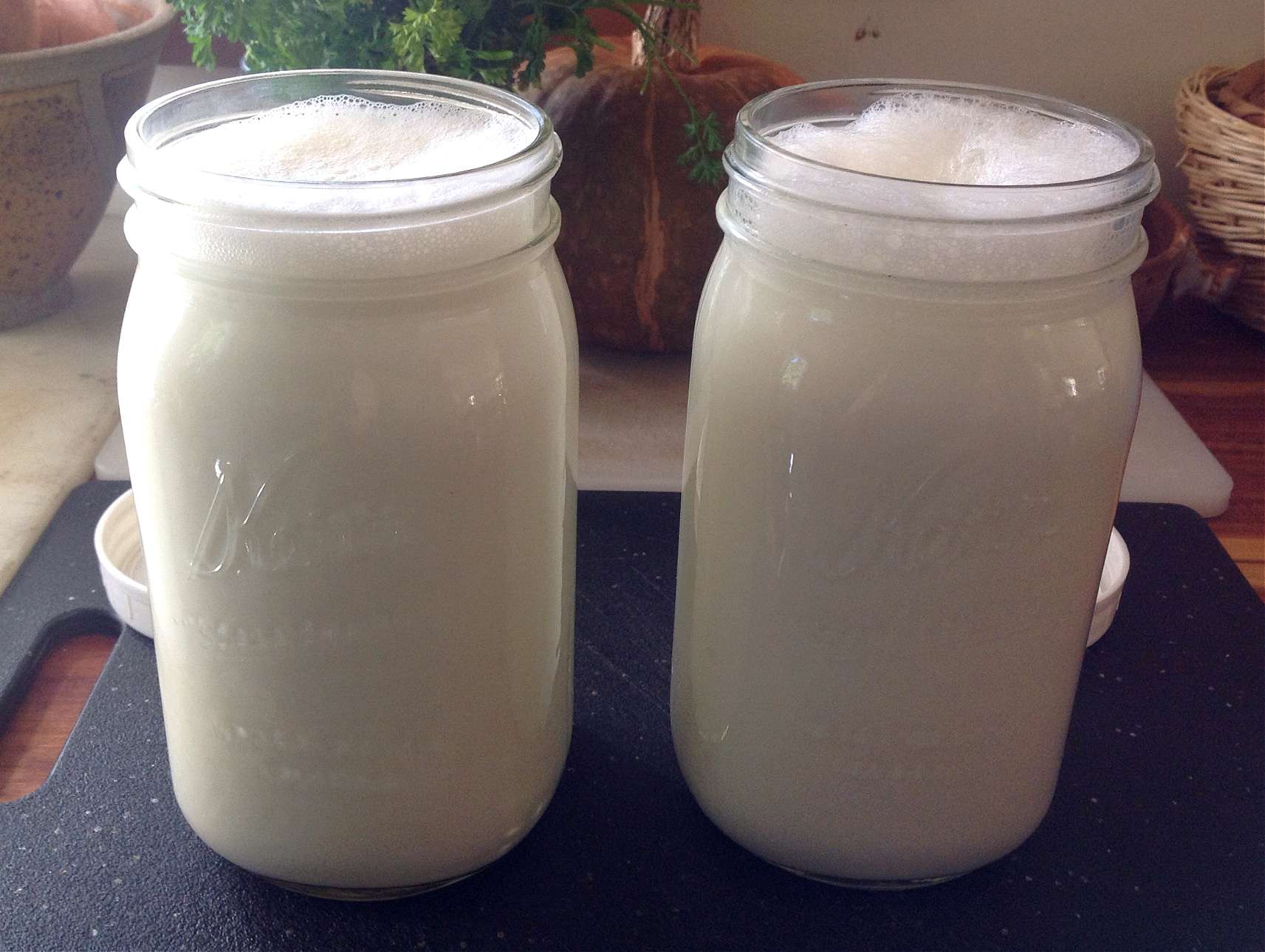 Homemade Yogurt-image