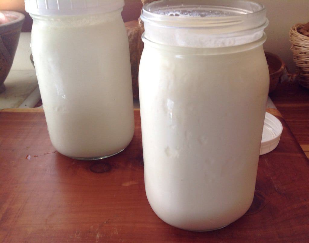 How to Make Yogurt in a Dehydrator