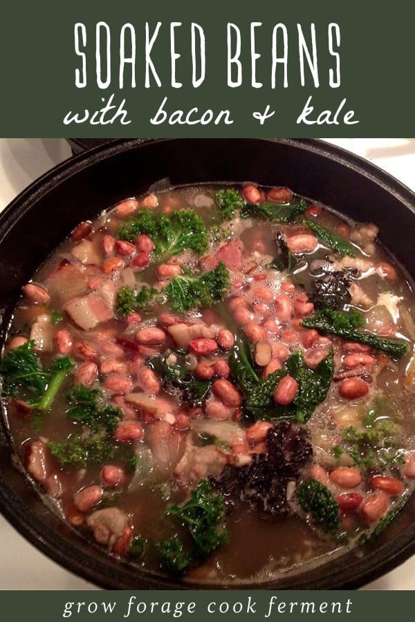 Beans cooked with bacon and kale in a cast iron dutch oven.