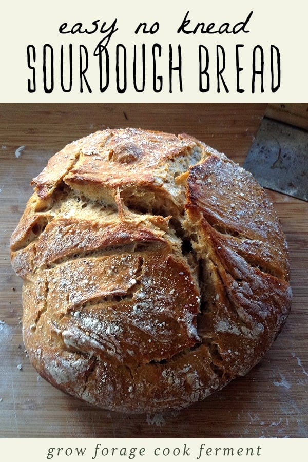 A loaf of freshly baked no knead sourdough bread on a cutting board.