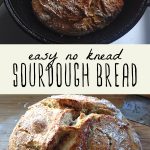 Freshly baked no knead sourdough bread in a dutch oven, and sourdough bread on a cutting board.