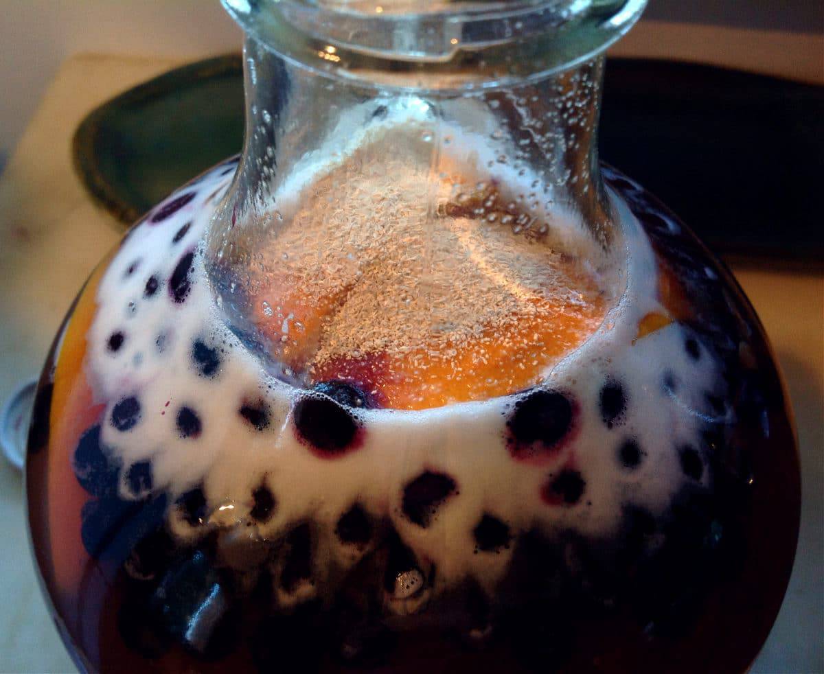 a jug of mead with berries and brewing yeast