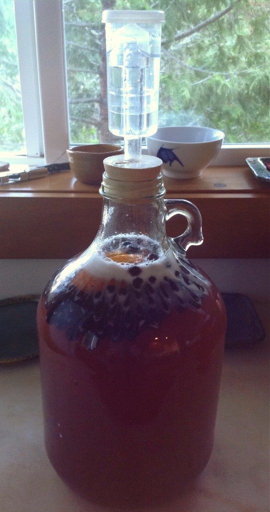 How to Make a Gallon of Mead A Simple Mead Recipe Master Chef