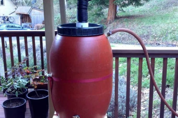 rain barrel