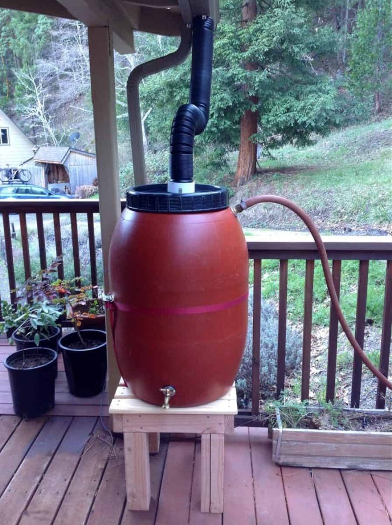 rain barrel