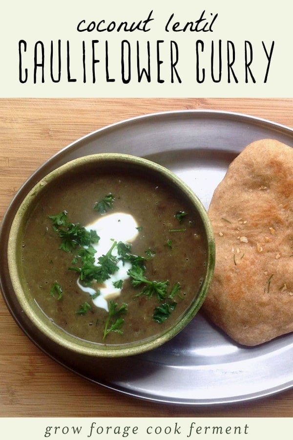 A bowl of coconut lentil cauliflower curry with a slice of homemade naan.