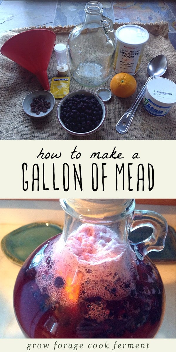 Have you ever wanted to make your own mead? It might sound intimidating, but it's easy! If you're not familiar with mead, it's a fermented honey and water beverage and is also known as honey wine. It's one of the oldest fermented drink recipes, and simply delicious. Learn everything you need to know about making a one gallon batch of mead at home. #mead #fermented #fermenteddrinks #honeywine #homebrew
