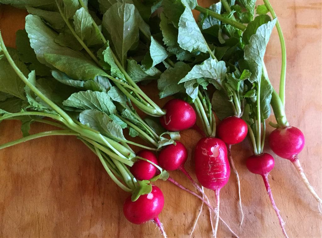 radishes