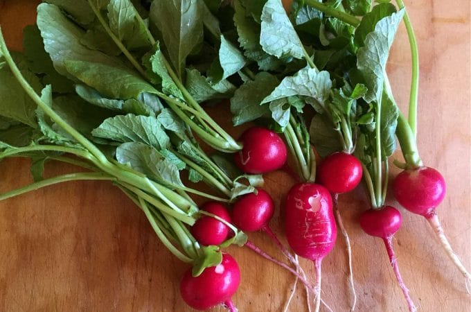 radishes