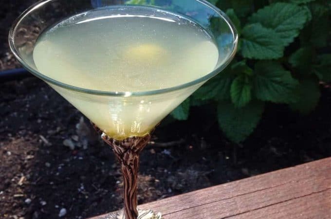 kraut brine martini