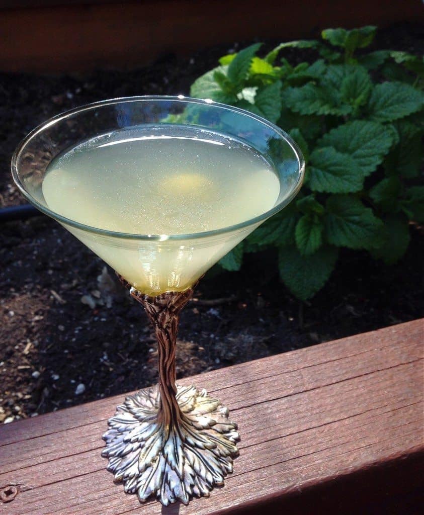 kraut brine martini