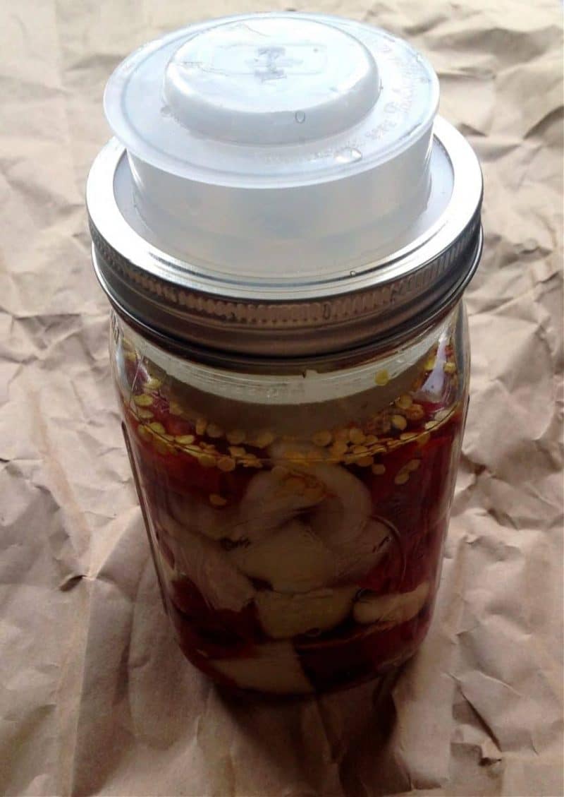 an airlock on the jar of fermenting peppers