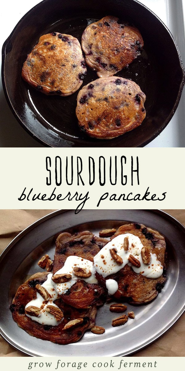These sourdough blueberry pancakes are so good, and probably about as healthy as a pancake can get without sacrificing flavor. The best part is that most of the work is done the night before! This recipe for sourdough blueberry pancakes is so easy and they taste amazing! #sourdough #pancakes #breakfast #realfood