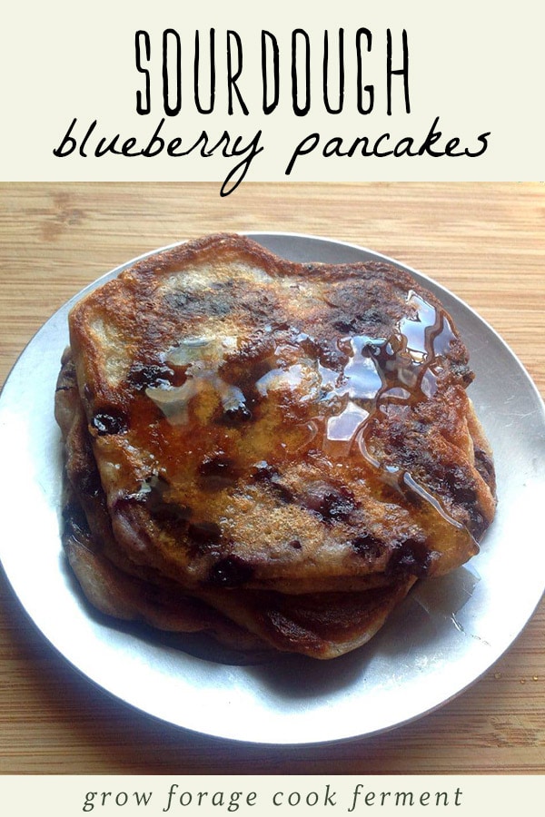 A stack of fresh sourdough blueberry pancakes.