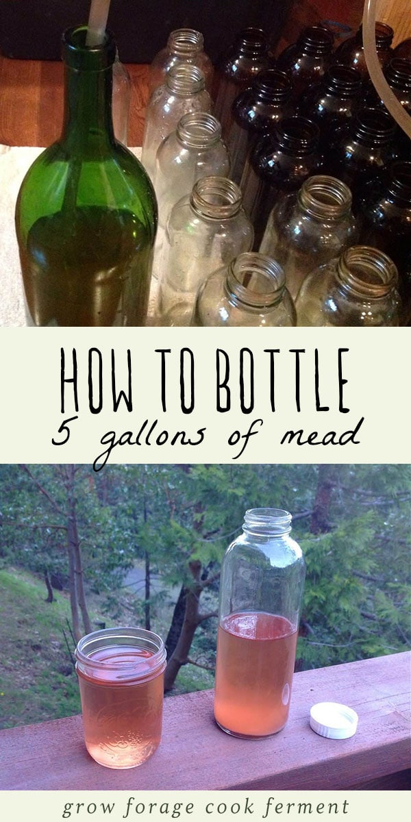 After you've fermented a batch of mead, the next step is bottling it for storage. Here is how to bottle mead! #mead #homebrew