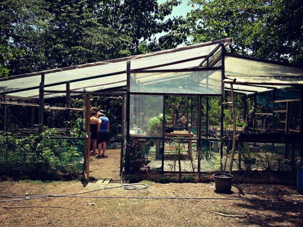 greenhouse