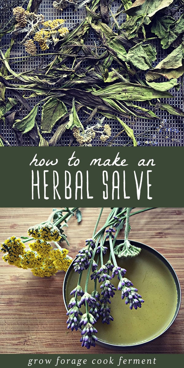 Making your own all natural herbal salve is so easy! This salve is the perfect beginner herbal medicine recipe for a budding herbalist. It treats minor cuts, scrapes, bruises, bites, stings, rashes and dry skin. It has astounding healing powers with all of the medicinal herbs it contains, and smells divine! Click through to learn how to make an herbal salve using healing herbs you can find in your own backyard or grow in your garden. #herbalism #herbalmedicine #salve #medicinal #allnatural