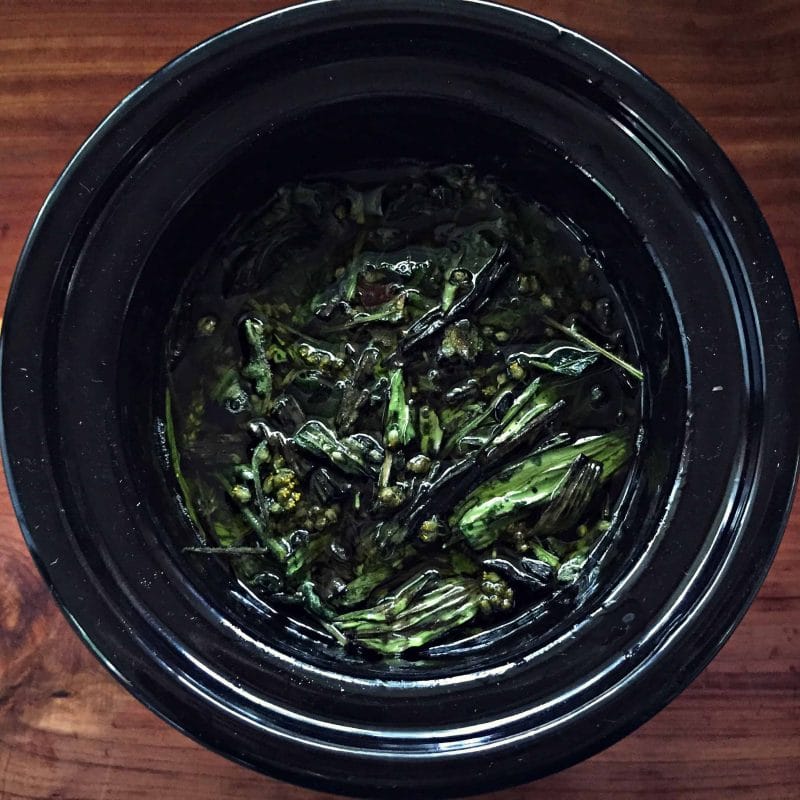 herbs and oil in a mini slow cooker