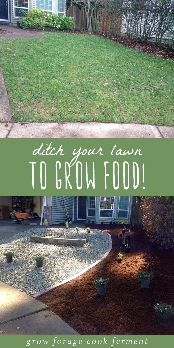 Grow food not lawns! Who needs silly high maintenance grass anyways? Here's how to ditch your lawn, transform it into a low maintenance permaculture garden, and grow food instead. #permaculture #garden