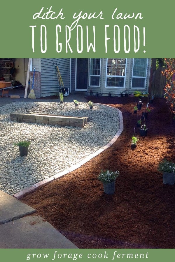 Image of Gravel mulch suburban lawn and garden mulch