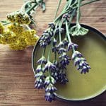 herbal healing salve