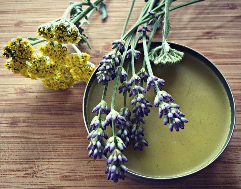 herbal healing salve on a bamboo board with yarrow and lavender