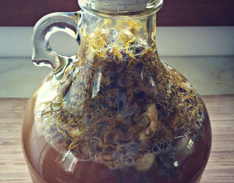 wildflower mead brewing in a one gallon jug
