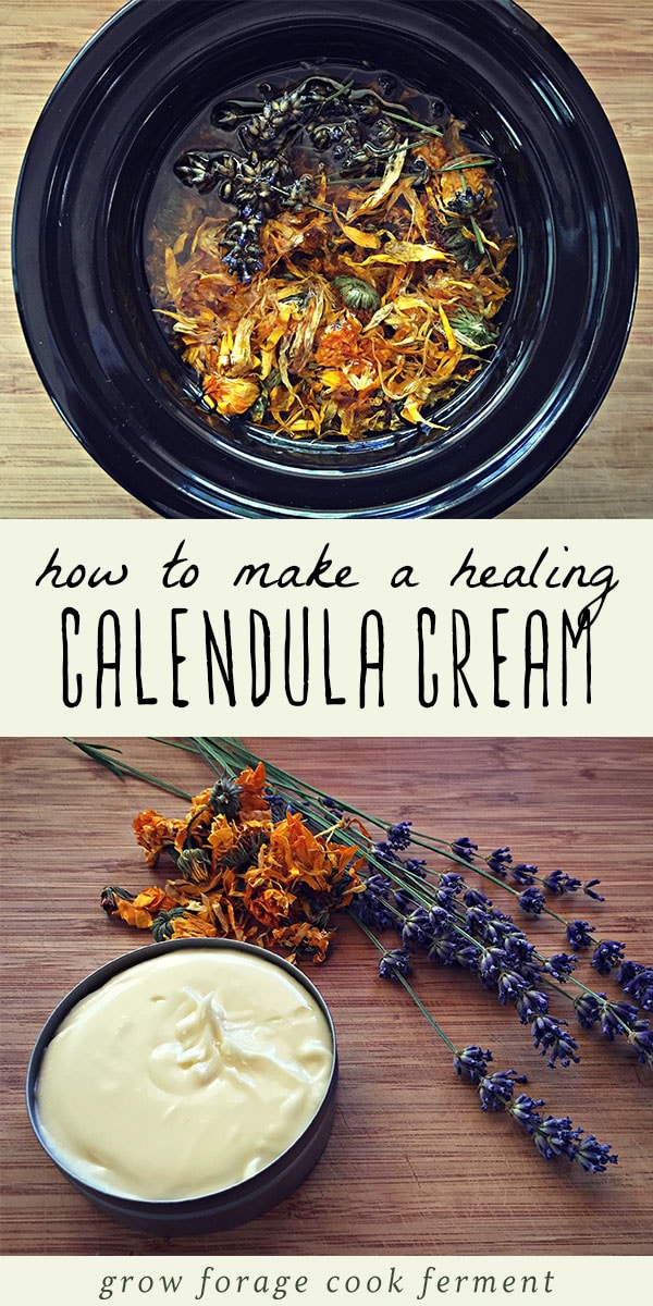 Calendula cream is the perfect way to incorporate healing herbs in your homemade all natural beauty and body care products! Calendula is well known for its healing and medicinal benefits. It's anti-inflammatory, an anti-tumor agent, and a powerful wound healer. It is a potent medicinal herb, particularly for skin ailments and rashes. This all natural calendula cream is an easy herbal medicine remedy to make at home - even for beginners! #calendula #herbalism #herbalmedicine #homeremedy