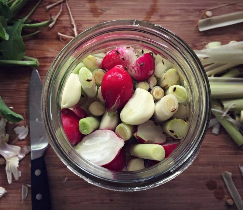 a jar of fermented cattail shoots and radishes