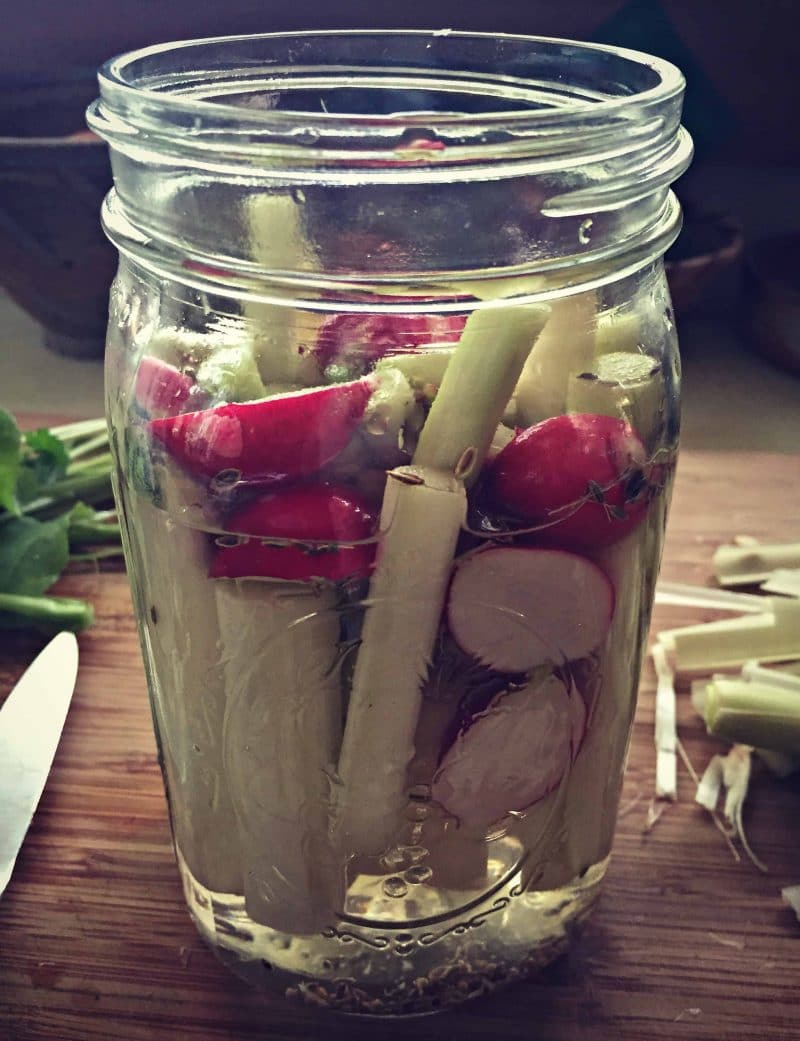 cattail shoots and radishes in a mason jar