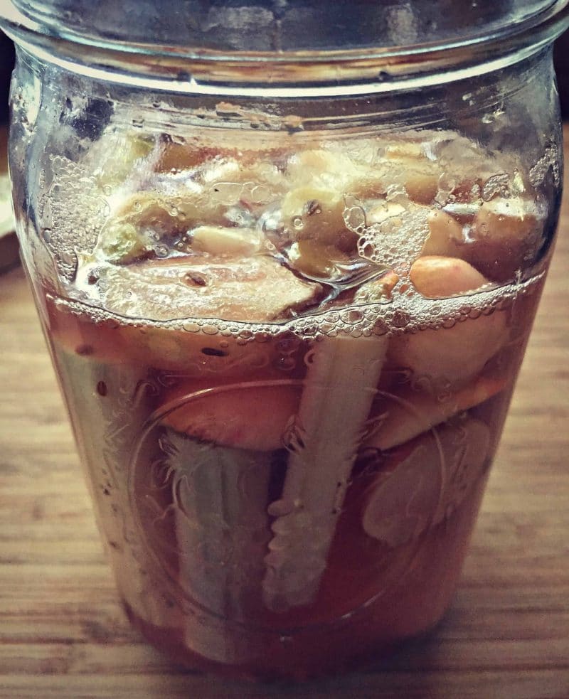 fermented cattail shoots bubbling in a jar