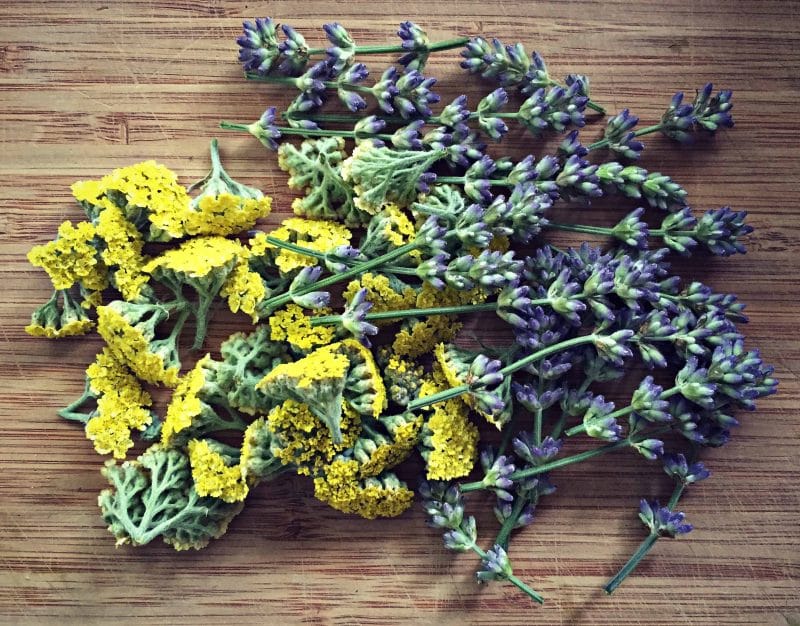 chop wildflowers for mead