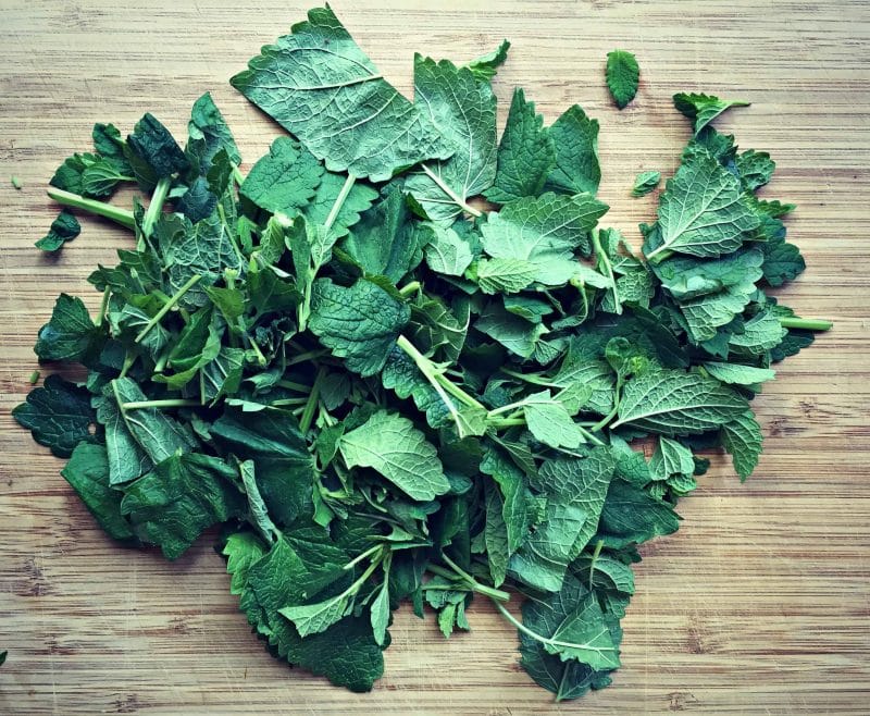 chopped lemon balm