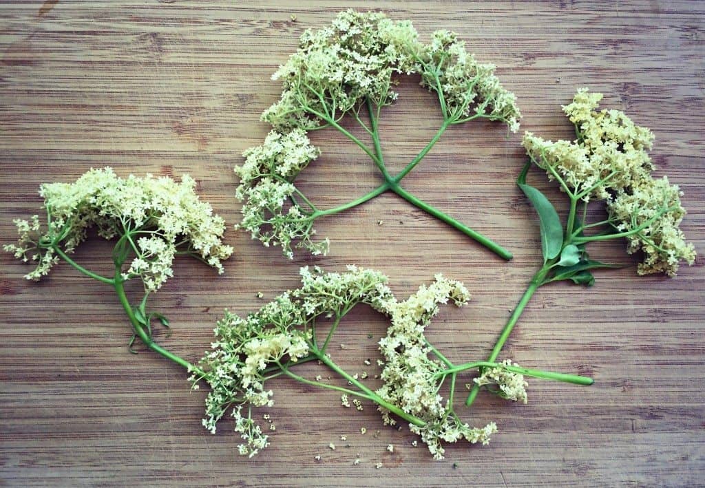 elderflowers on a wooden board