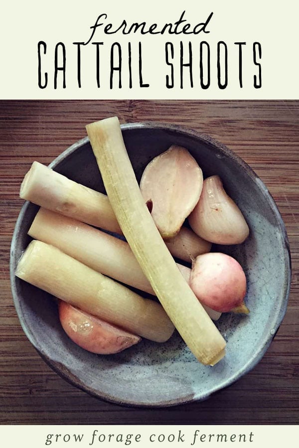 Fermented cattail shoots in a small bowl on a wood table.