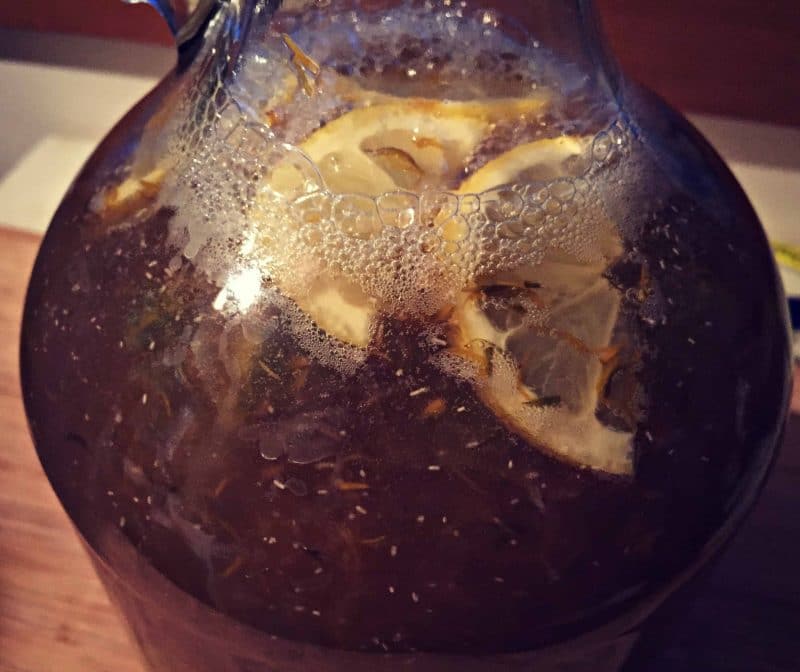 yeast floating in the jug of wildflower mead