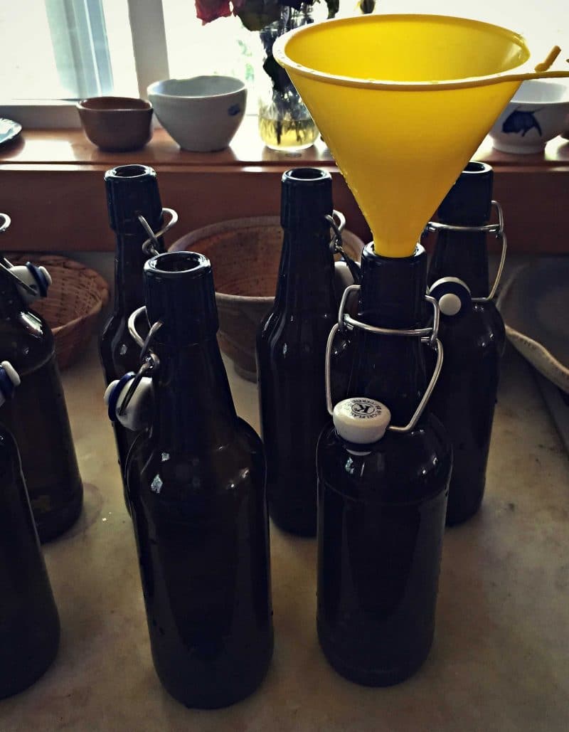 funnel kombucha into bottles