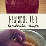A jar of hibiscus kombucha, and a woman's hand holding a healthy kombucha scoby.