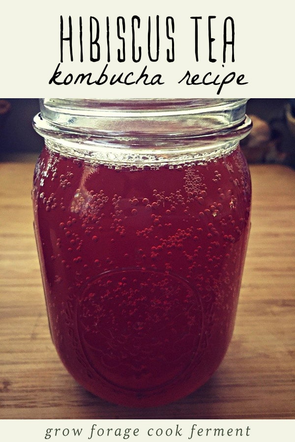 A jar of hibiscus tea kombucha.